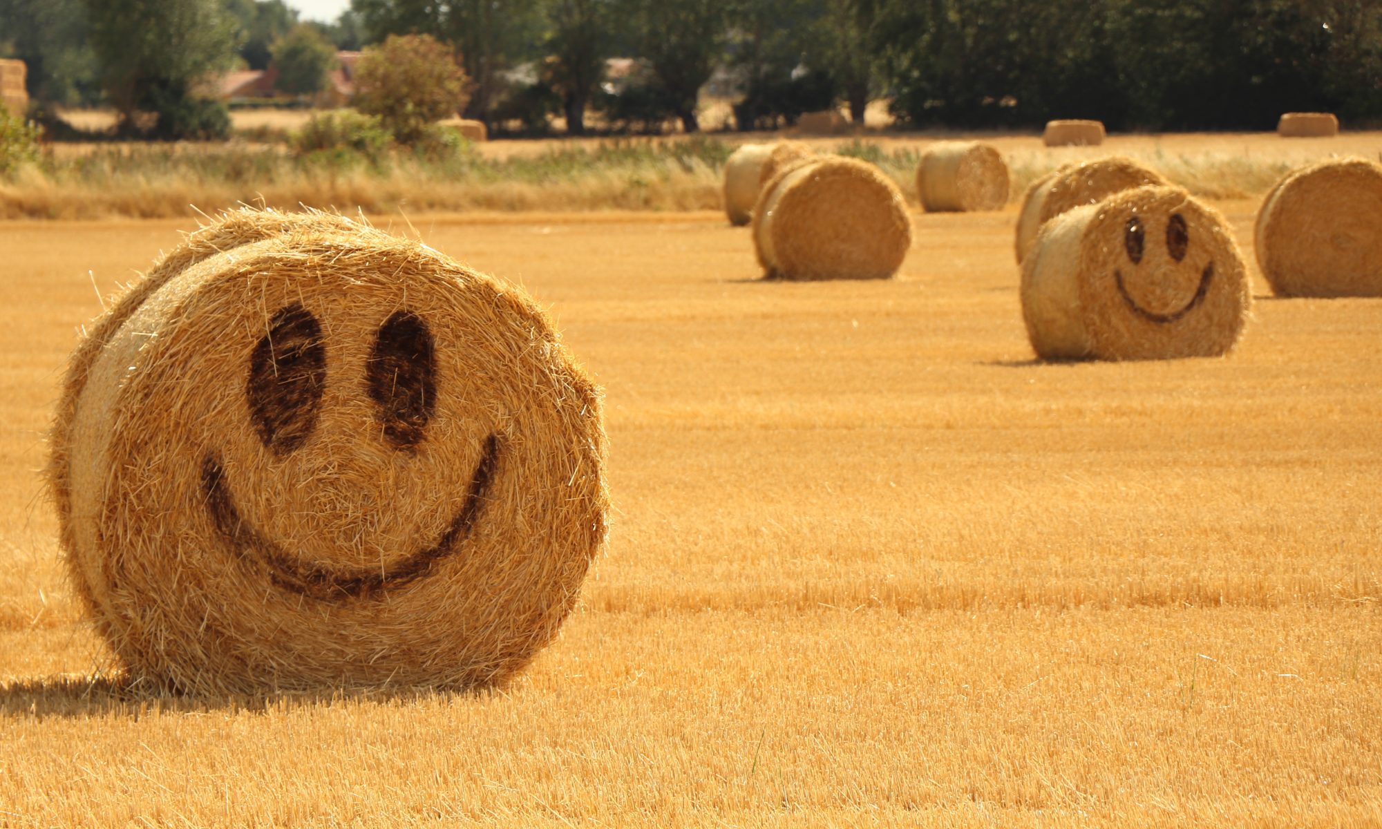 Strohballen Smiley